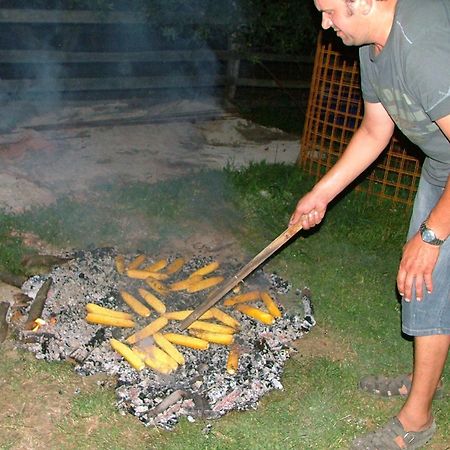 Willa Tourist Farm Pri Martinovih Krška Vas Zewnętrze zdjęcie