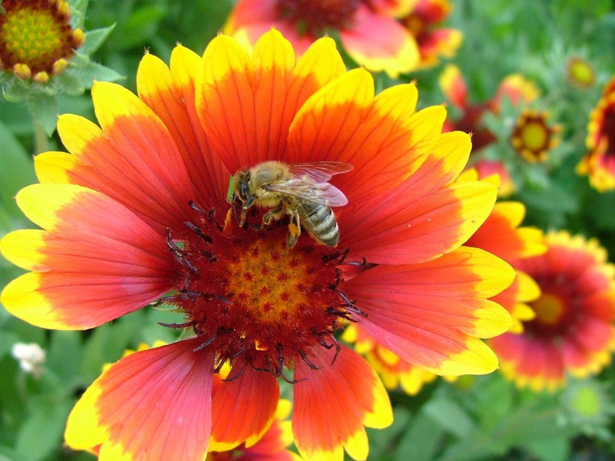 Willa Tourist Farm Pri Martinovih Krška Vas Zewnętrze zdjęcie