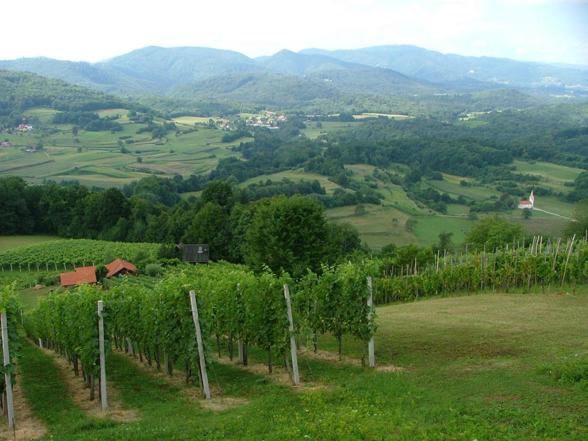 Willa Tourist Farm Pri Martinovih Krška Vas Zewnętrze zdjęcie